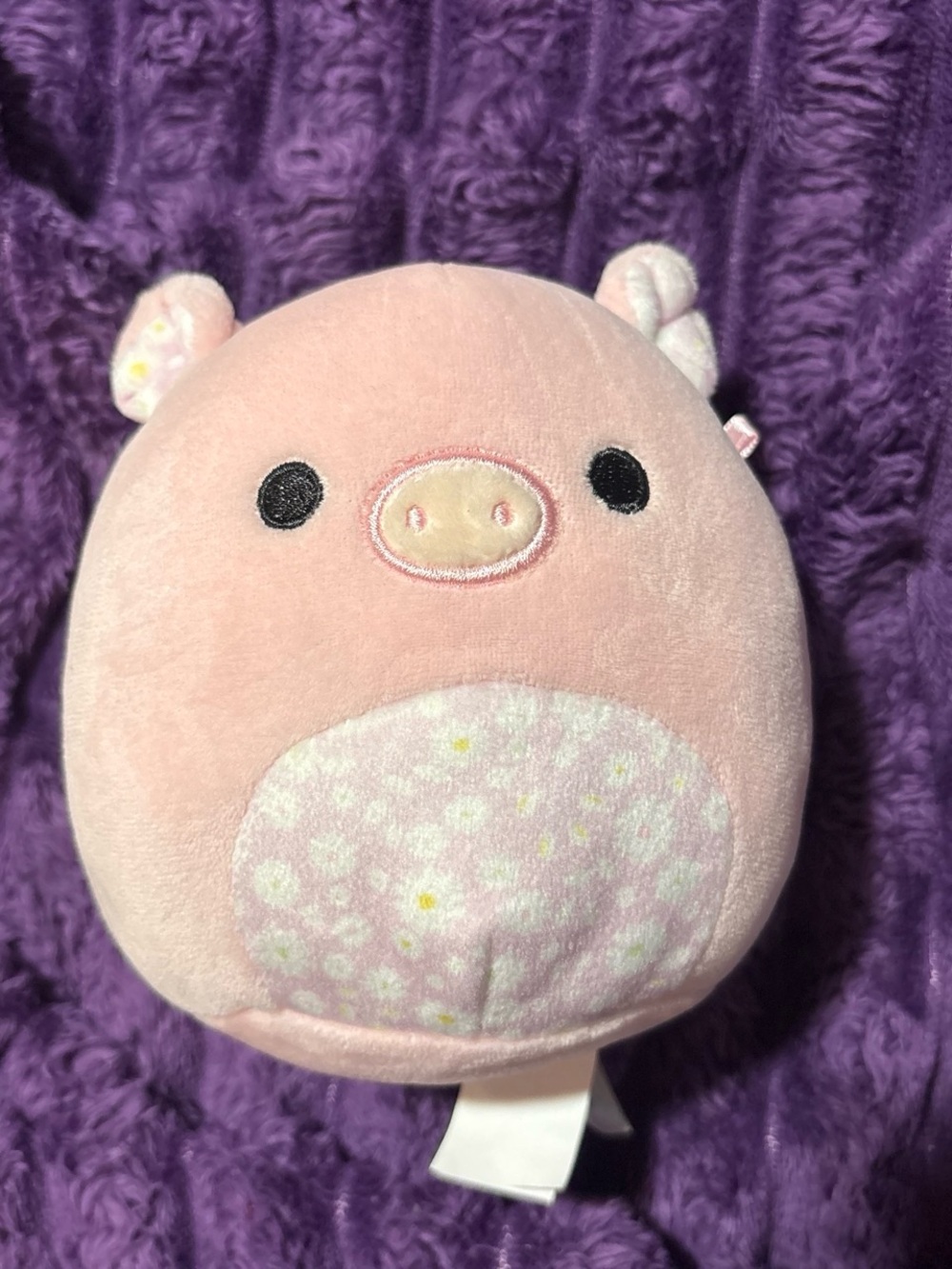 Plush Pink Pig Squishmallow